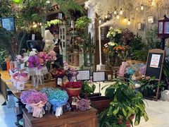 -新世界大丸百货