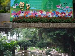 -九龙公园