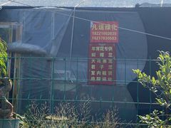 -龙大花卉苗木市场