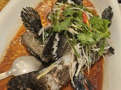 -桃源春晓中餐厅 TaoYuan Restaurant