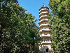 -刘长兴(逸仙桥店)