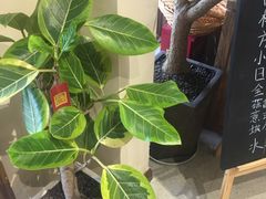 -沁屋面包店(人民东路店)