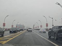 -蠡湖大桥公园