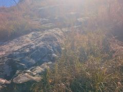 -涂山风景区