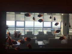 -上海海洋大学(临港校区)