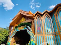 -西双版纳原始森林公园