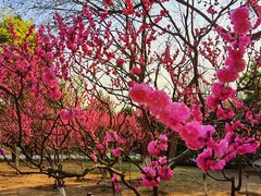 -奥林匹克森林公园北园-停车场