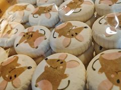 鼠饼-北京稻香村(大都专卖店)