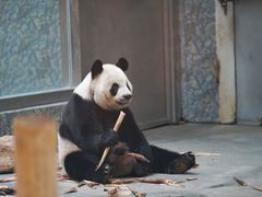 -西安秦岭野生动物园