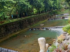 -广州白江湖森林公园