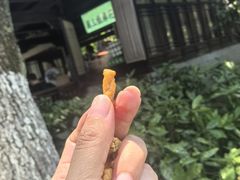 -杭州湖滨in77