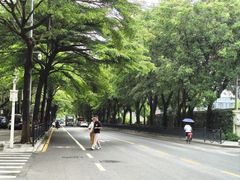 -长洲岛