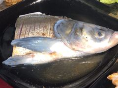 -销魂美蛙鱼头火锅(上海首店)