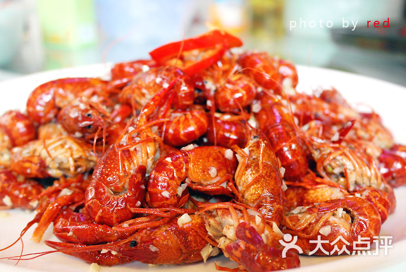 虾虾侬小龙虾料理干煸小龙虾图片-北京小龙虾-大众点评网