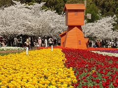 -苏州上方山国家森林公园