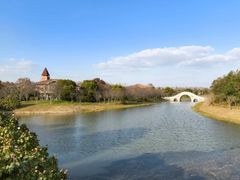 -上海海湾国家森林公园