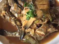 -添福来墨鱼饺子 · 海鲜东北菜(泡崖店)