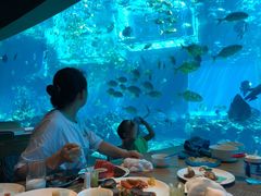 -海棠湾洲际-涛·海底餐厅·美人鱼·自助餐·海底隧道