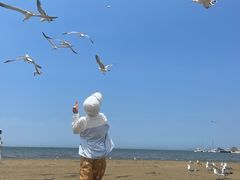 -宾朋海鲜特色美食餐厅·纯手工鲅鱼水饺(兴海路店)