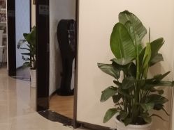 点击看大图 -四川娇点医学美容医院