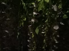 -卡拉卡拉漫温泉汗蒸