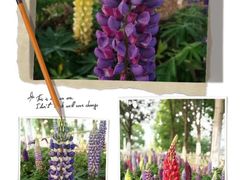 -白塘生态植物园