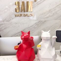 -3AM HAIR SALON烫发染发接发