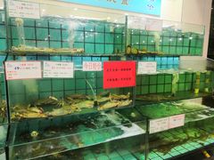 -海岛渔村大酒店(云霄路店)