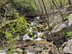 -青峰峡国家森林公园