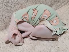 -藏猫猫咖啡主题馆(中央大道店)