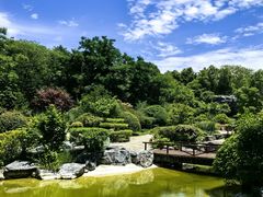-上海吴淞炮台湾国家湿地公园
