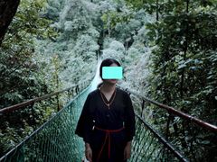 吊桥-云南屏边大围山国家公园