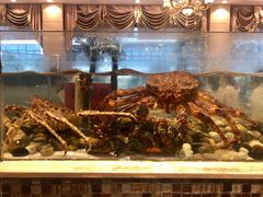 水产区-新丁香海鲜酒店(银海商贸城店)
