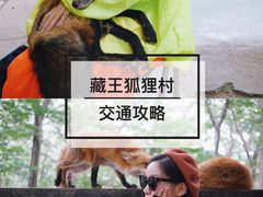-宫城藏王狐狸村