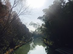 -同里国家湿地公园