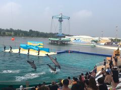 -秦皇岛乐岛海洋王国