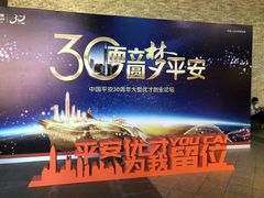 -平安（深圳）金融教育培训中心