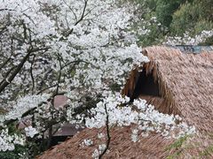 -中国茶叶博物馆(双峰馆区)