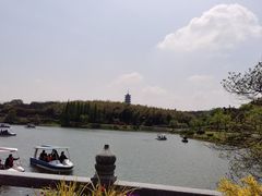 -宜兴龙背山森林公园