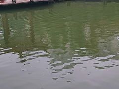 -西苑公园