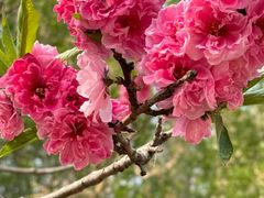 -白水寺森林公园