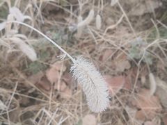 -淇河金沙滩