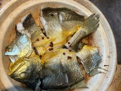 -1937青岛老味道·海肠捞饭·青岛菜(大鲍岛栈桥店)