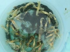 -东戴河风景区-止锚湾