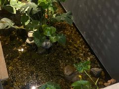 -邈墨茶馆(凤起路店)