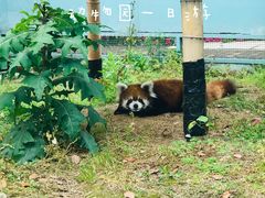 -无锡动物园·太湖欢乐园