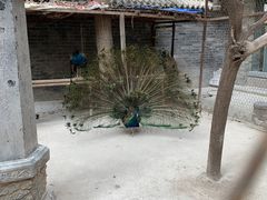 -罔极寺