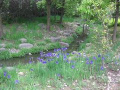 -苏州河梦清园环保主题公园