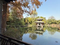 -水绘园