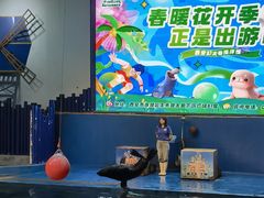 -太奥幻太奇海洋馆